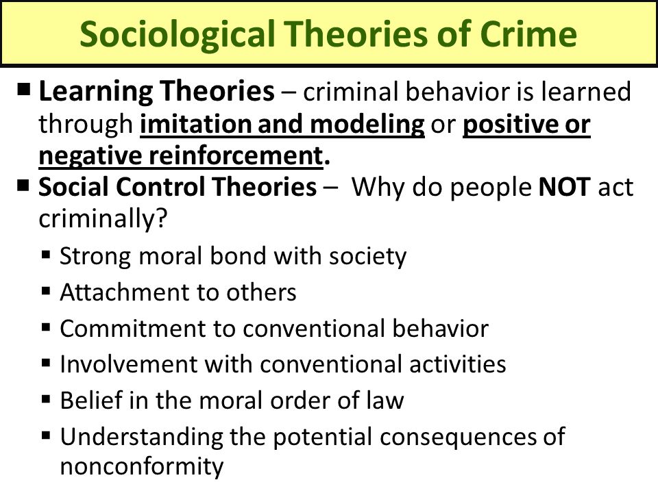 Sociological Theories and Gang Violence Essay